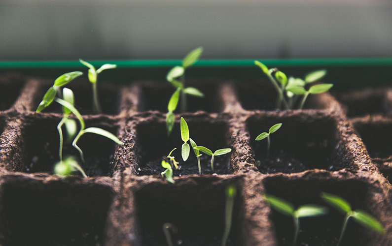 Dévéloppement crédit photo : Markus Spiske sur Unsplash