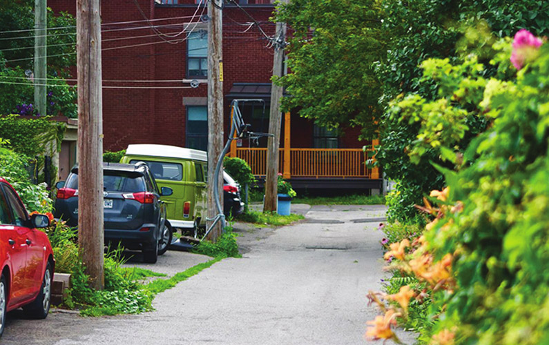 Coopoint-Celsius-Cropped